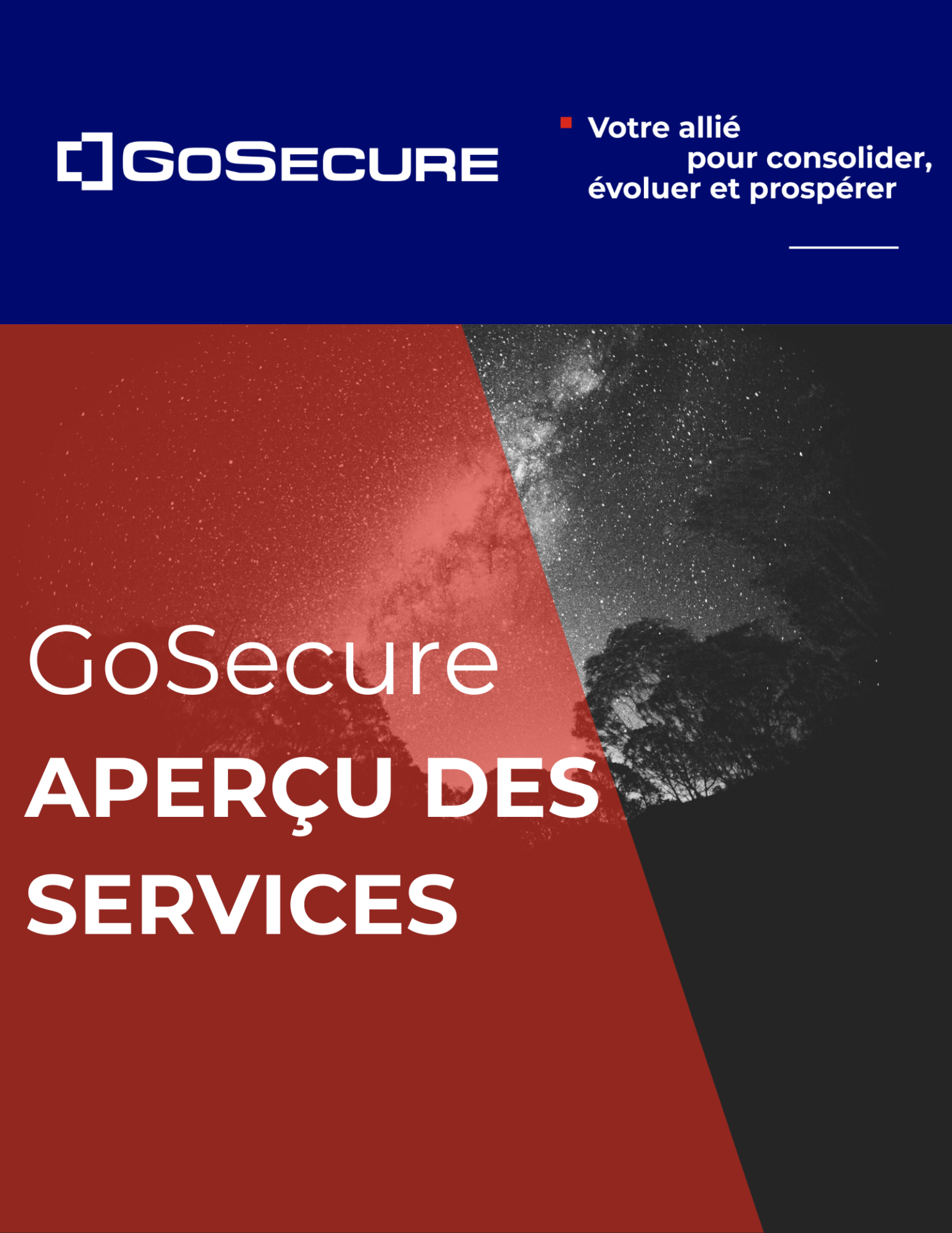Brochure de présentation de GoSecure